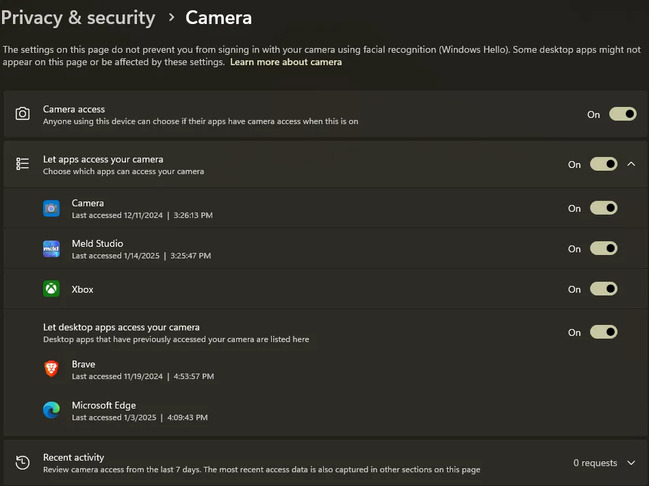 Windows Privacy & Security Camera settings showing app permissions