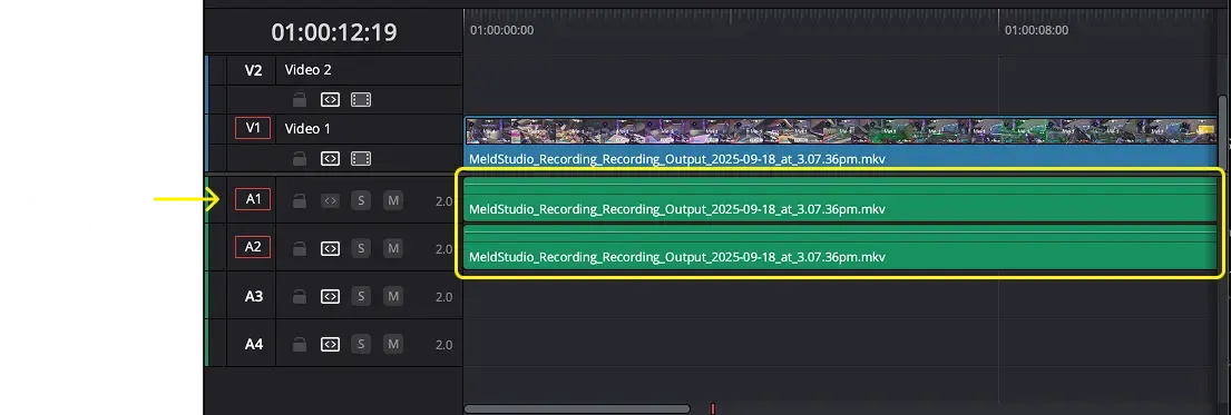 Recorded file in DaVinci Resolve